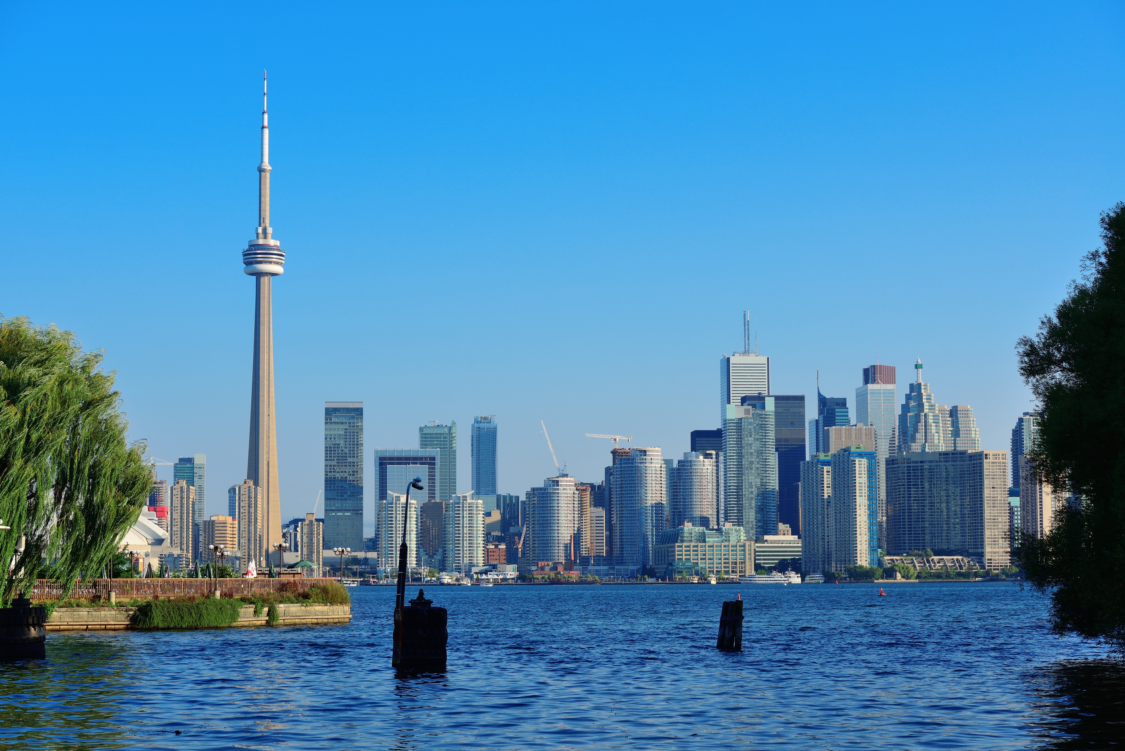 Canada landscape with autumn foliage and city skyline